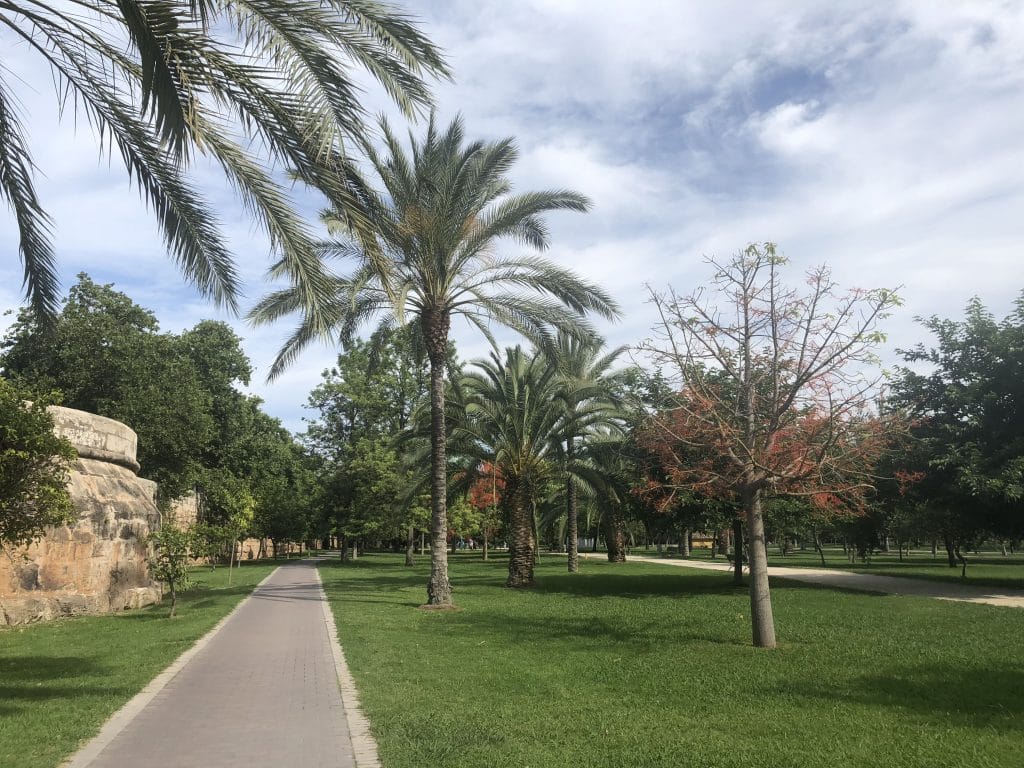 Cycling through the Turia Park is a must in Valencia!